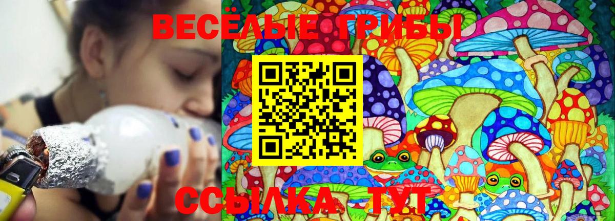 Псилоцибиновые грибы Cubensis Прокопьевск