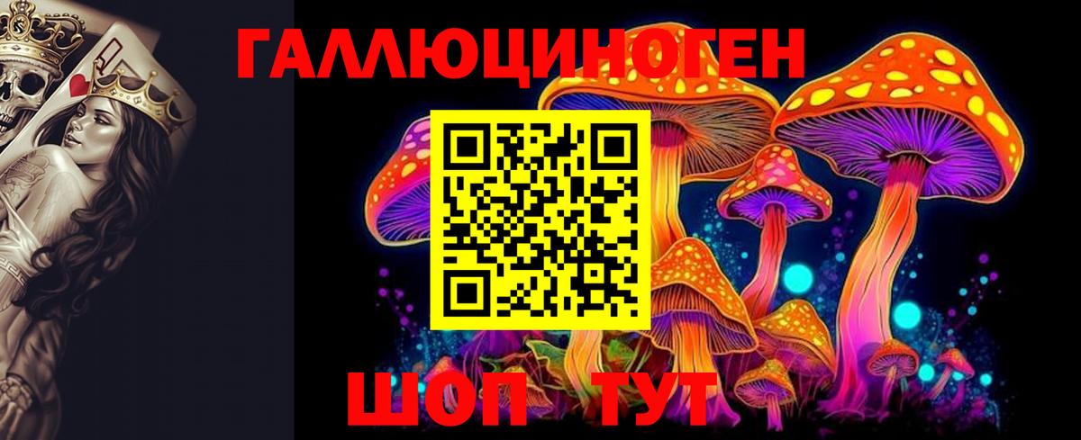Галлюциногенные грибы MAGIC MUSHROOMS  Вход с VPN  Прокопьевск 